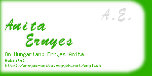 anita ernyes business card